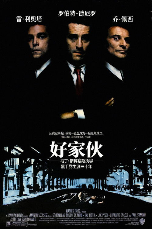 好家伙 封面