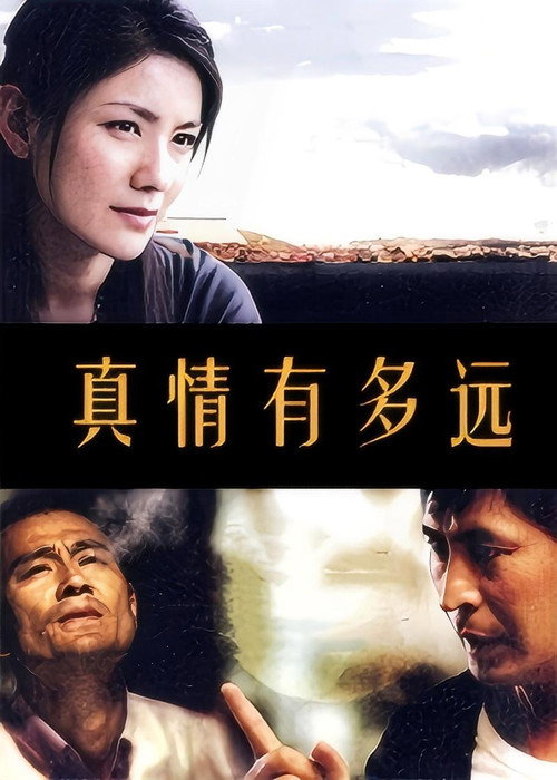 真情有多远 封面