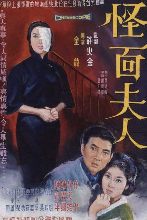 怪面夫人 封面