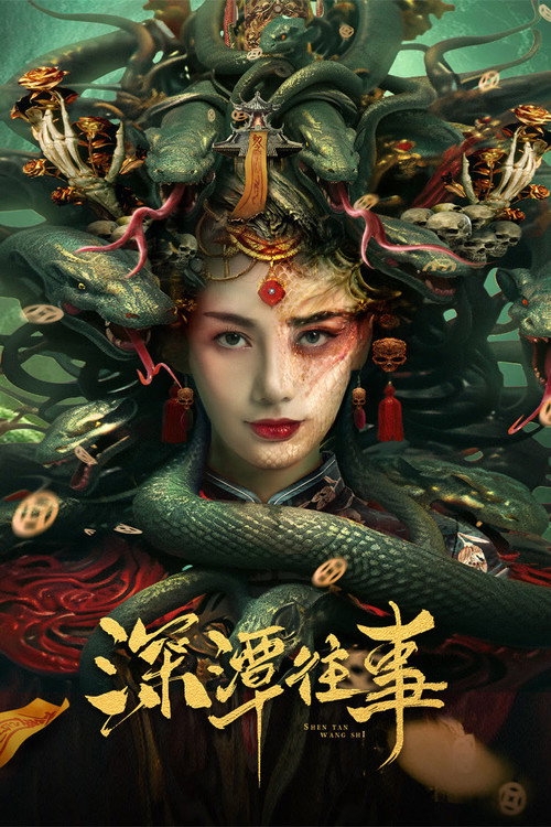 深潭往事 封面