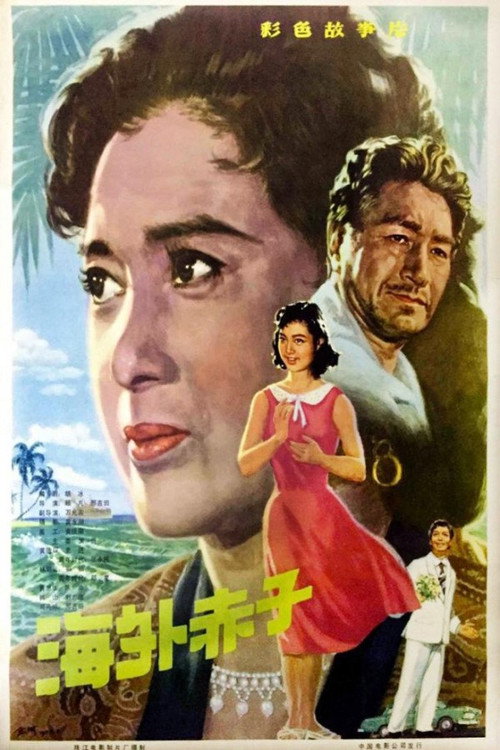 海外赤子 封面
