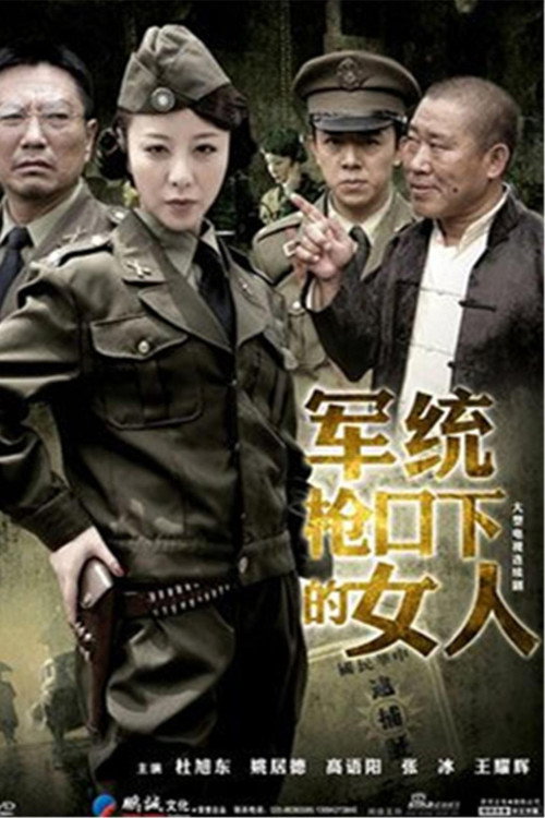 军统枪口下的女人之潜伏 封面