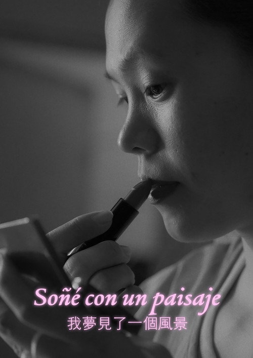Soñé con un paisaje 封面