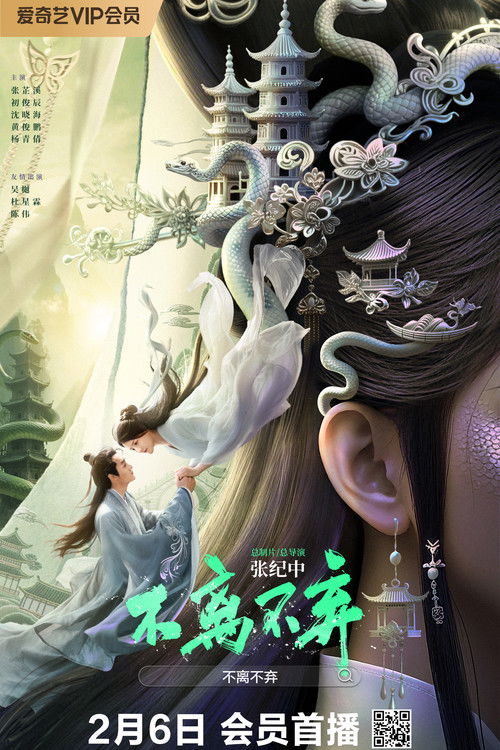不离不弃 封面
