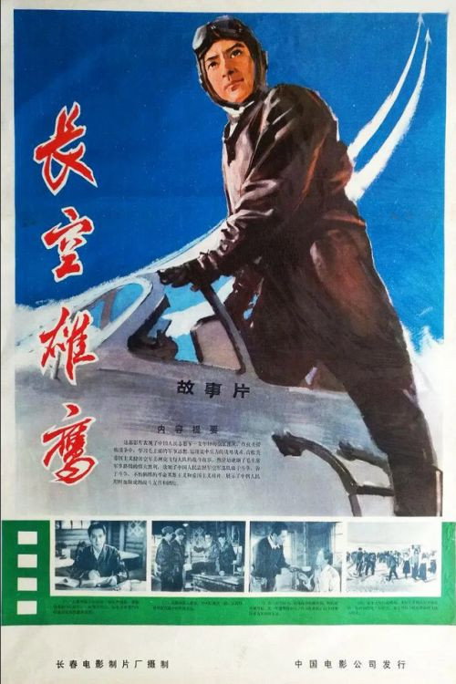 长空雄鹰 封面