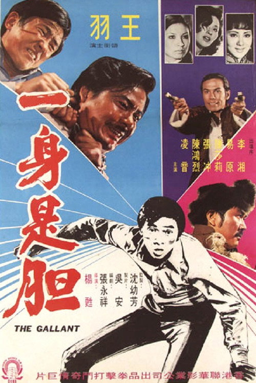 一身是胆 封面