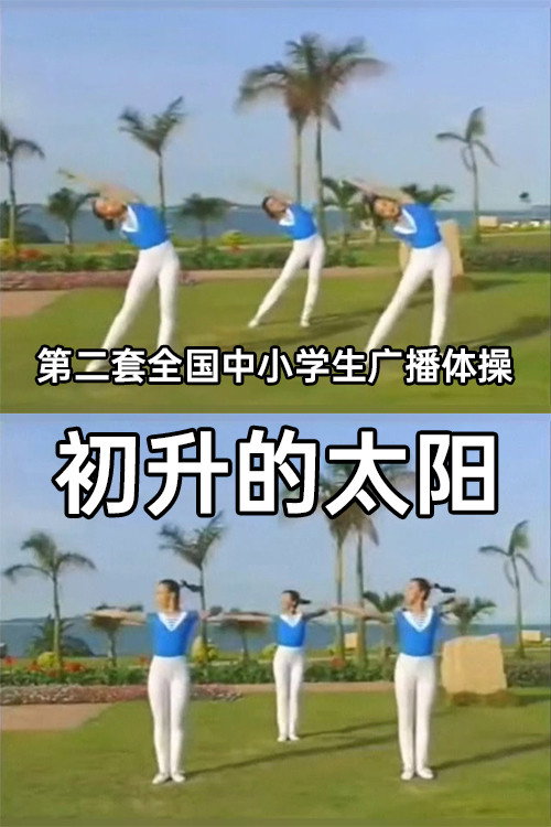 初升的太阳 封面
