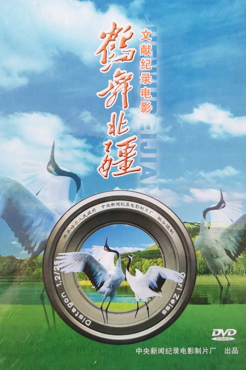 鹤舞北疆 封面