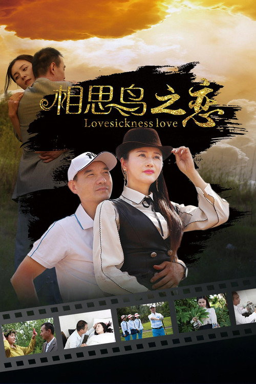 相思鸟之恋 封面