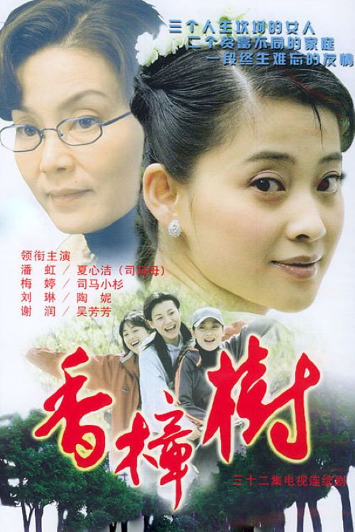 香樟树 封面
