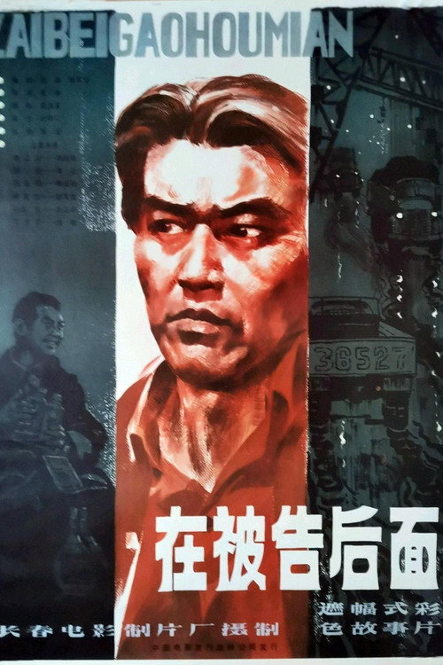 在被告后面 封面