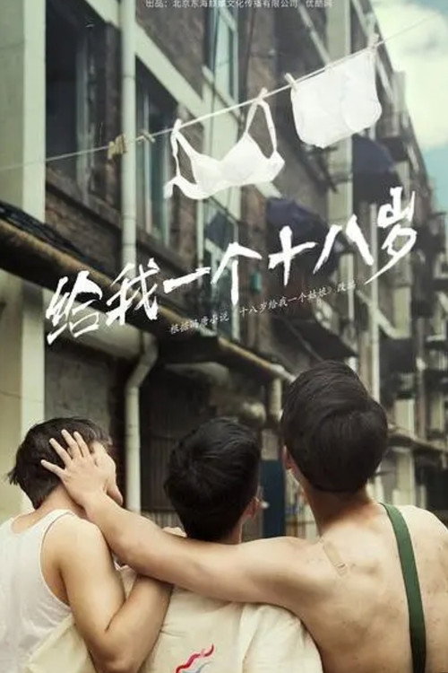 我们的十八岁 封面