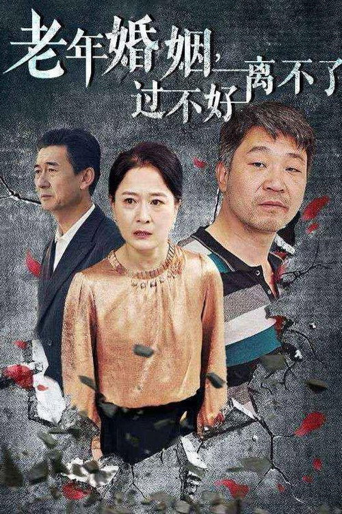 老年婚姻,过不好离不了 封面