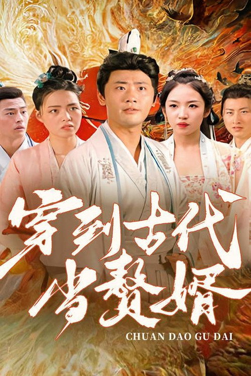 穿到古代当赘婿 封面