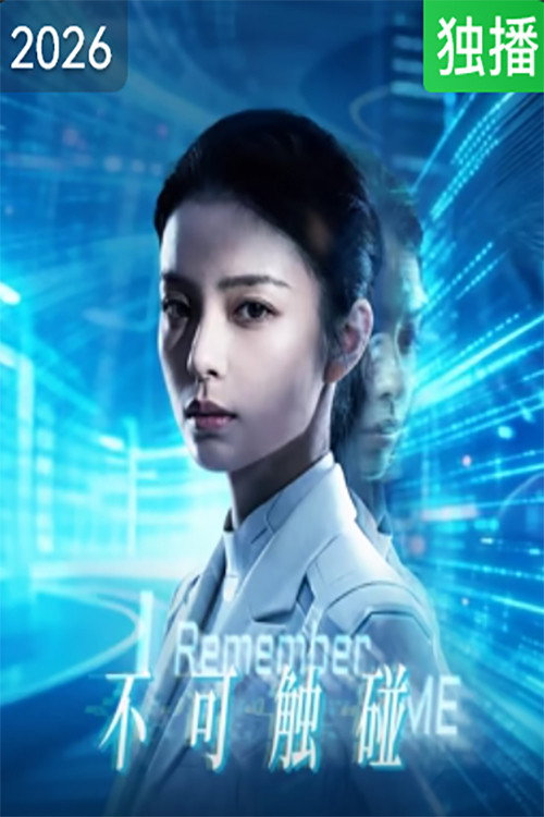 不可触碰 封面