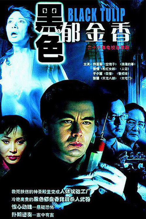 黑色郁金香 封面