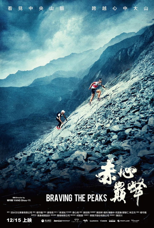 赤心巅峰 封面