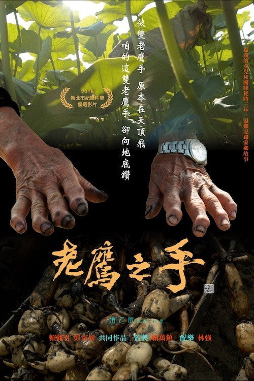 老鹰之手 封面