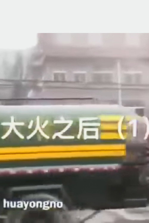 大火之后 封面