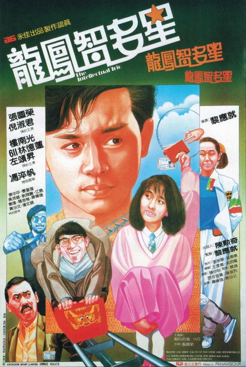 龙凤智多星 封面