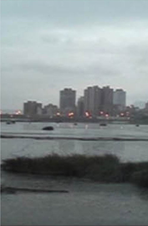 河上的月光 封面