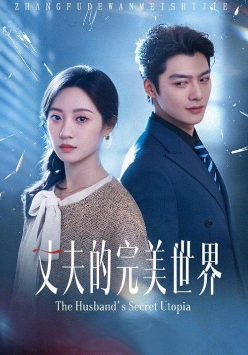 丈夫的完美世界 封面
