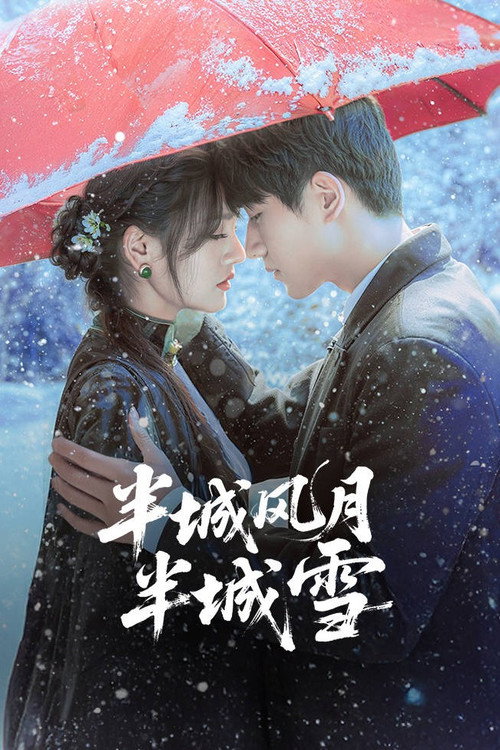 半城风月半城雪 封面