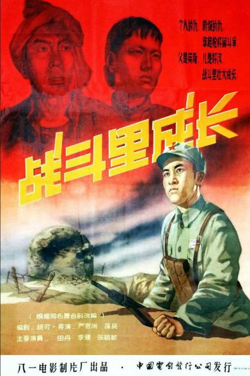 战斗里成长 封面