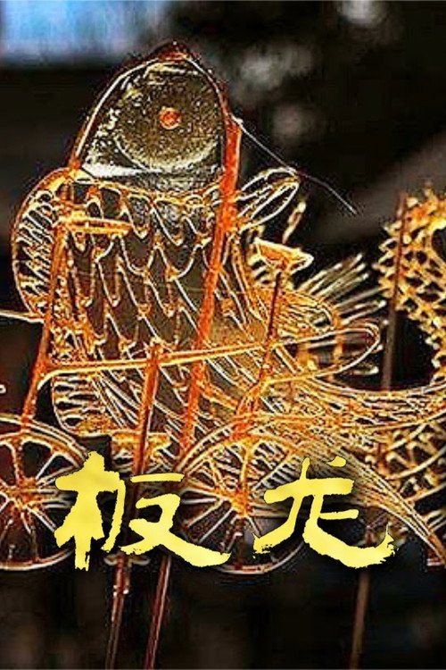 板龙 封面