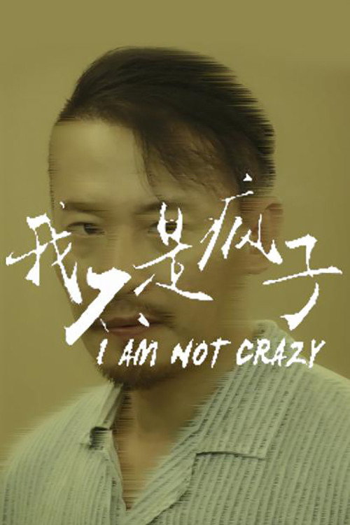 我不是疯子 封面