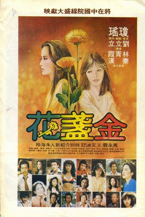 金盏花 封面