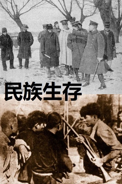 民族生存 封面