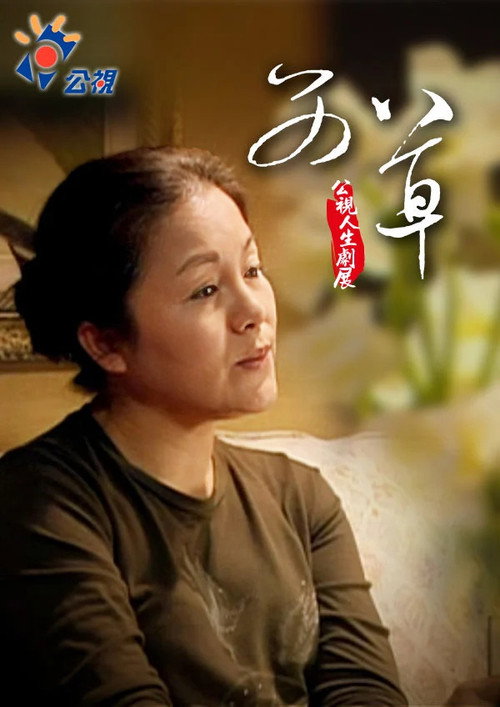 艾草 封面