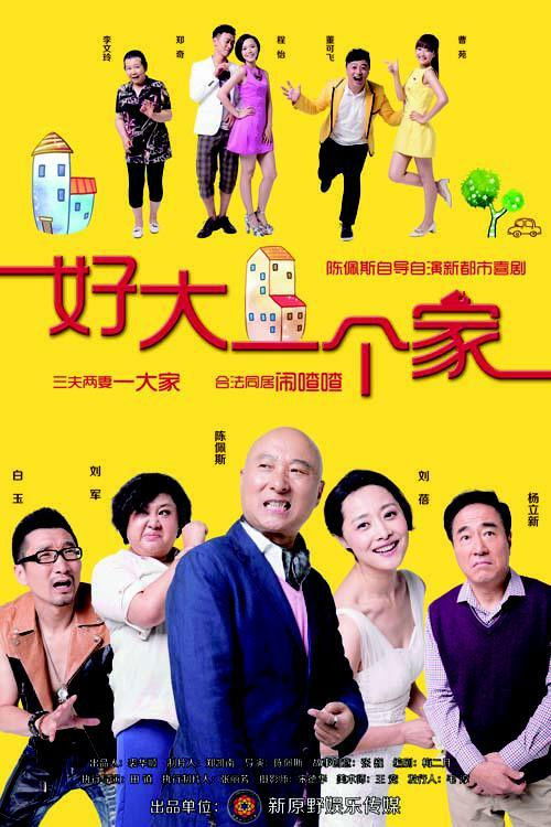 好大一个家 封面