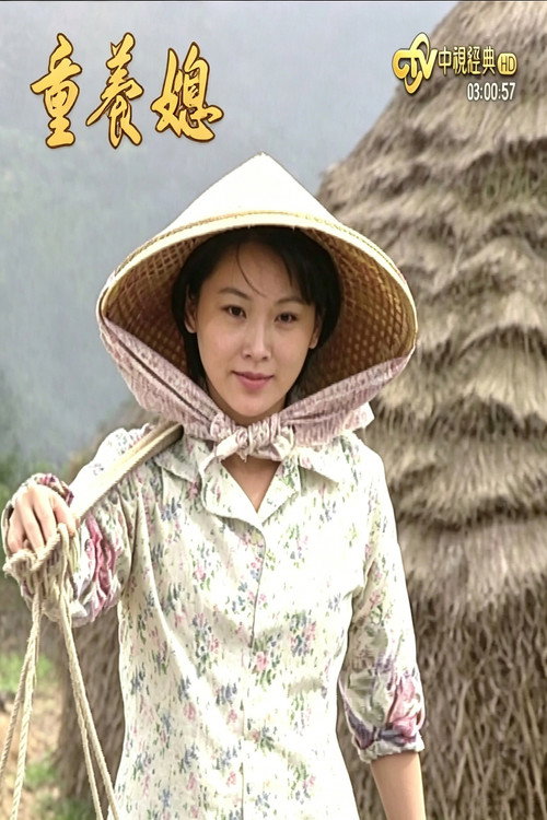 童养媳 封面