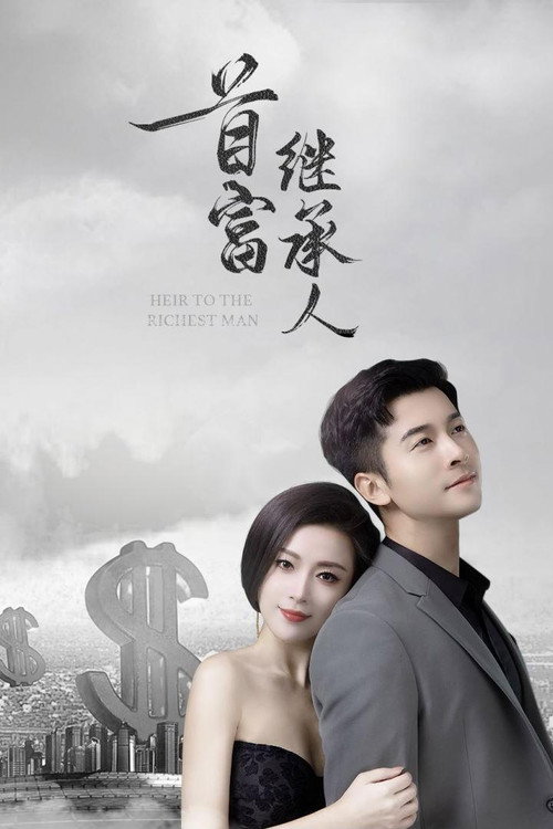 首富继承人 封面