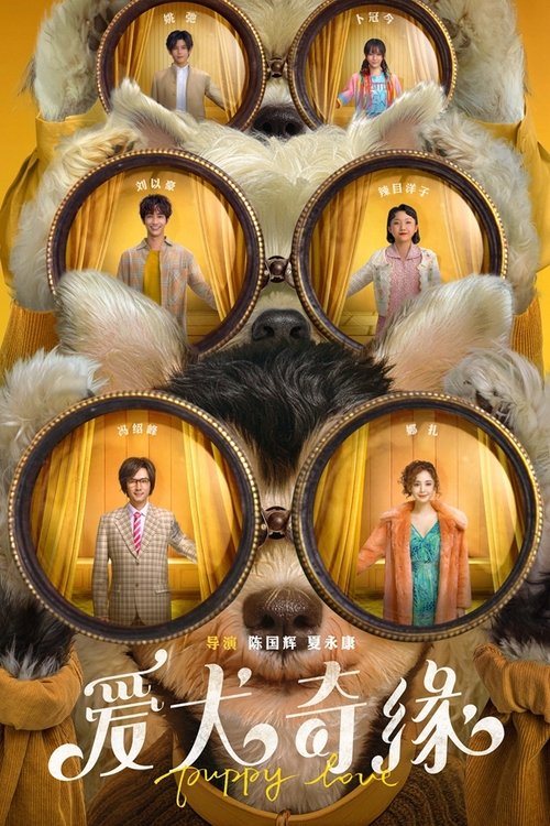爱犬奇缘 封面