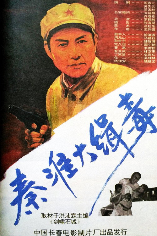 秦淮大缉毒 封面