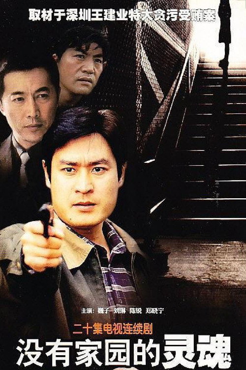 没有家园的灵魂 封面