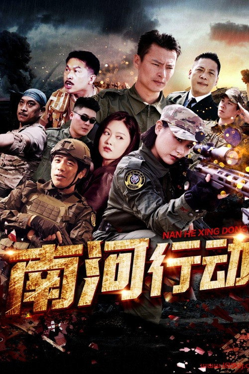 南河行动 封面