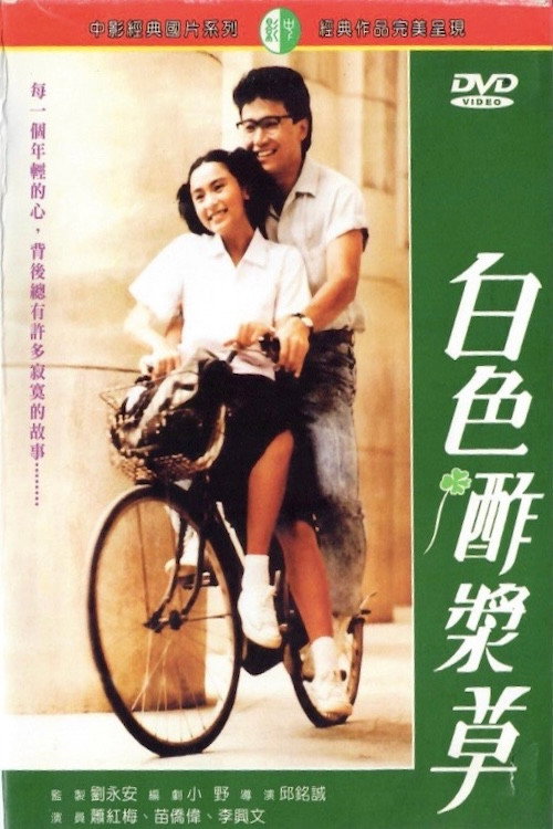 白色酢浆草 封面