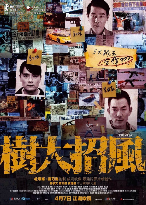 树大招风 封面