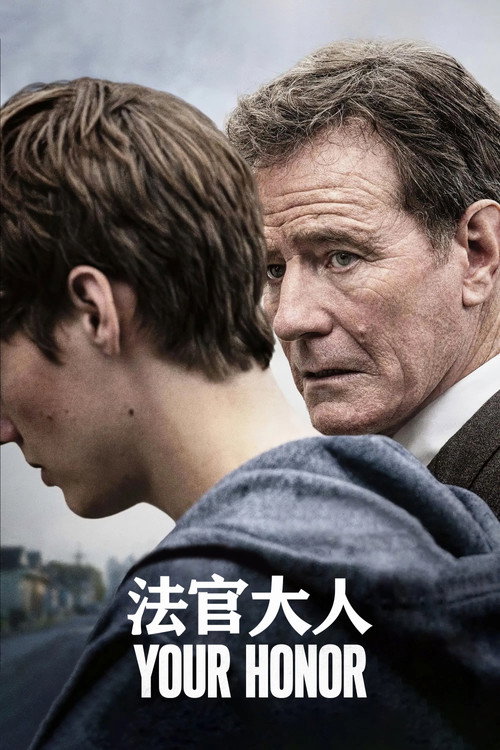 法官大人 封面