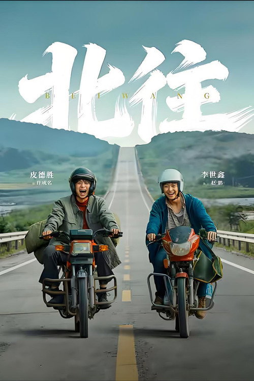 北往 封面