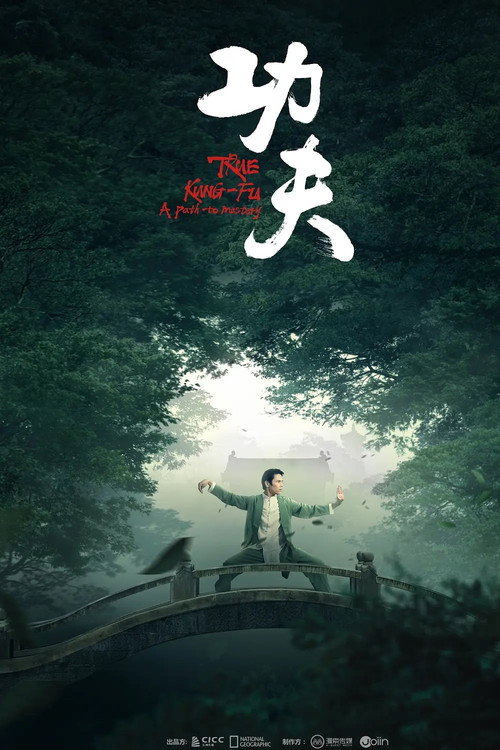功夫 封面