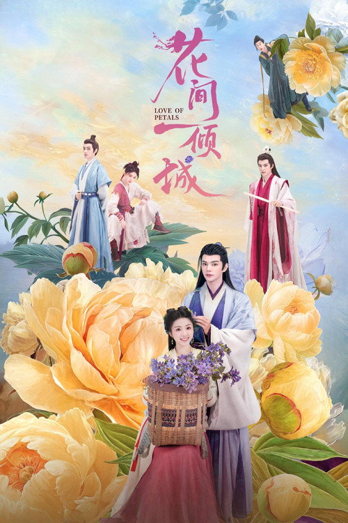 花间一倾城 封面
