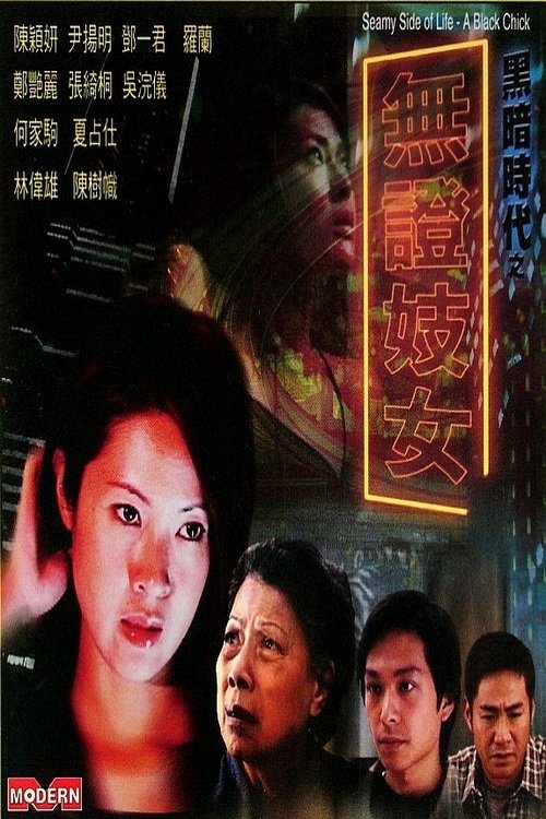 黑暗时代之无证妓女 封面