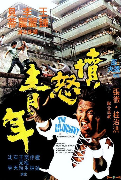 愤怒青年 封面