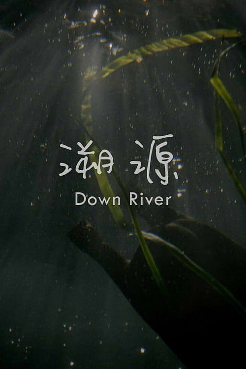 溯源 封面