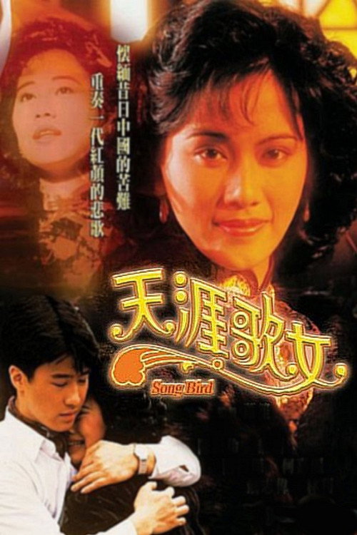 天涯歌女 封面